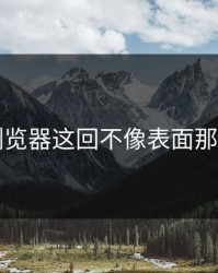 91网浏览器这回不像表面那么简单