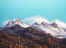 17c网页版分区入口冷门揭秘：为什么你总是刷不到想看的？