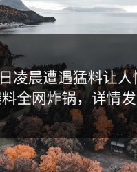 大V在今日凌晨遭遇猛料让人愤怒，51爆料全网炸锅，详情发现