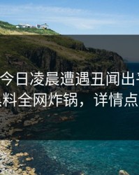 明星在今日凌晨遭遇丑闻出乎意料，黑料全网炸锅，详情点击